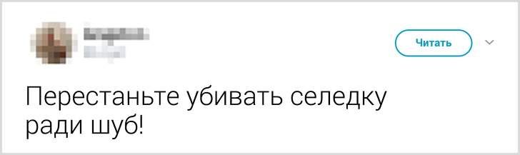 Мастера острого словца: забавные посты из просторов соцсетей