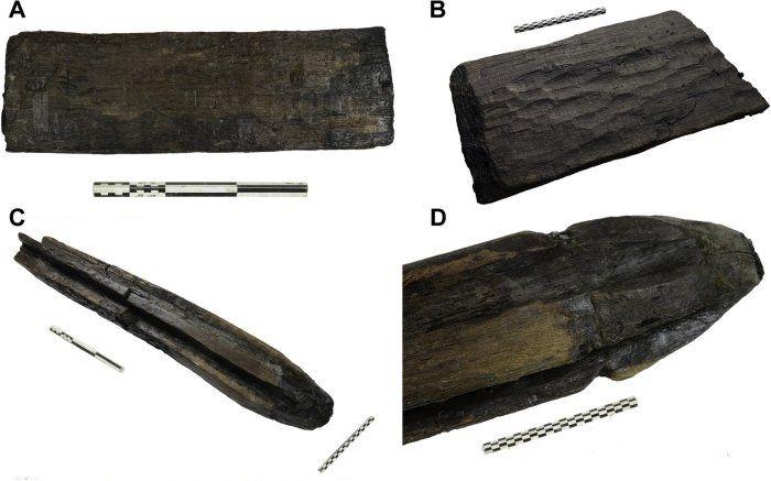 Найдено самое древнее в мире сооружение из дерева. ФОТО