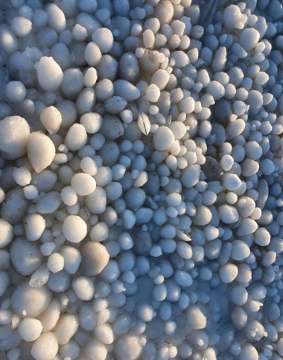 Побережье Финского залива покрылось ледяными шарами: фото необычного явления. ФОТО