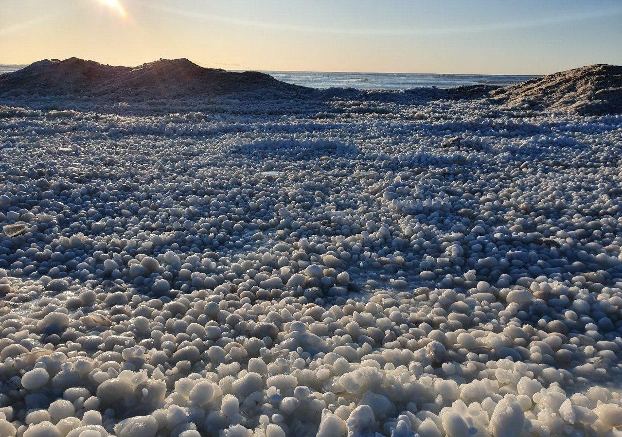 Побережье Финского залива покрылось ледяными шарами: фото необычного явления. ФОТО