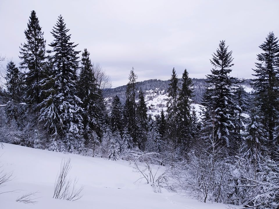 Карпатская зима в ярких снимках. ФОТО