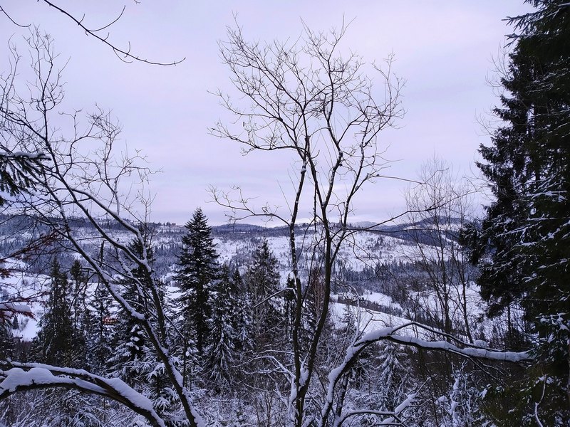 Карпатская зима в ярких снимках. ФОТО