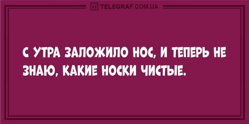 Смейтесь как можно чаще: вечерние анекдоты