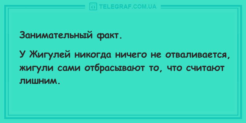 Смейтесь как можно чаще: вечерние анекдоты