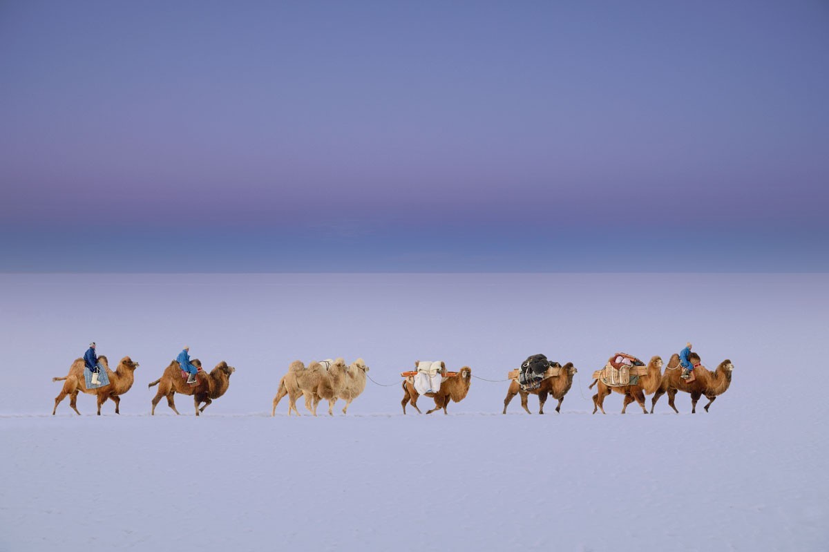 Просторы Монголии на снимках Марка Прогина