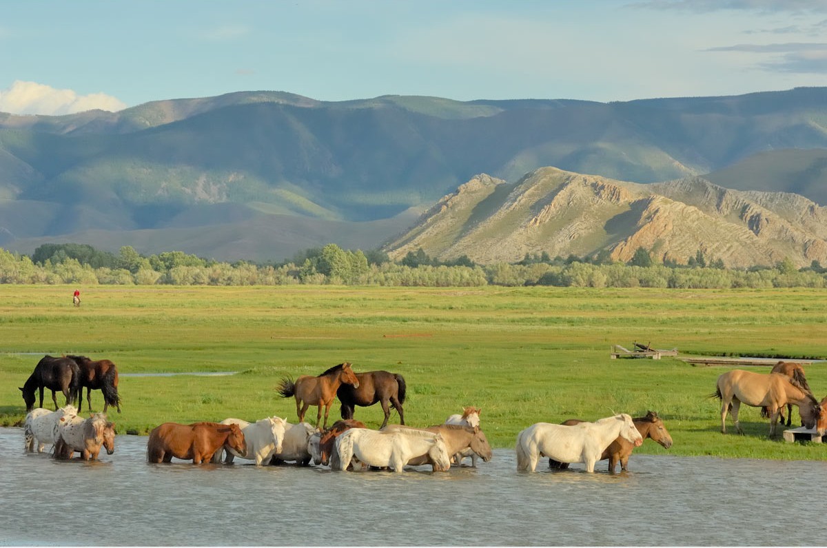 Просторы Монголии на снимках Марка Прогина