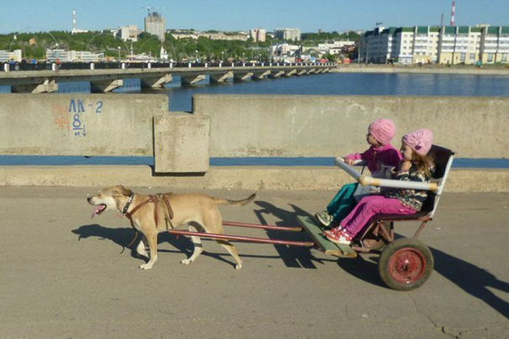 И все таки она наша. Наша раша. ФОТО