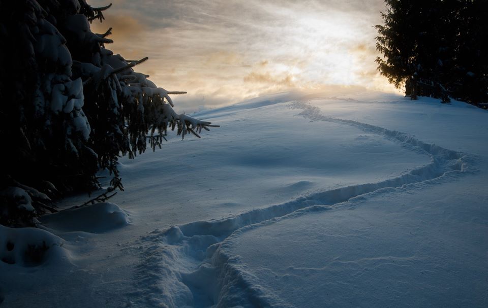 Карпаты засыпало снегом: опубликованы сказочные фото