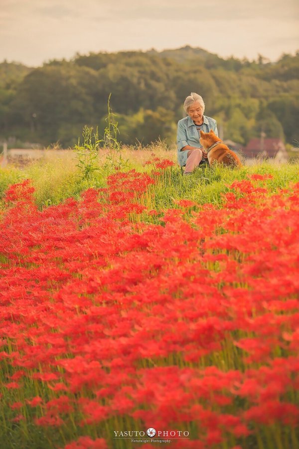 Фотограф делает трогательные снимки своей бабушки и собаки