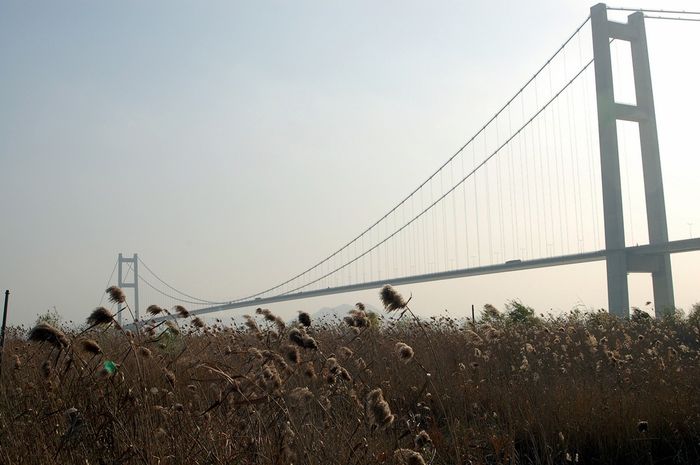 Символ объединения: самые длинные висячие мосты в мире. ФОТО