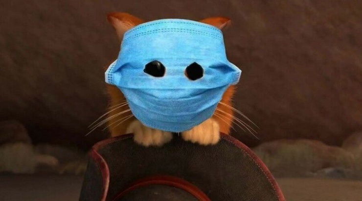 Фотожабы с котом в маске: идею китаянки оценили. ФОТО