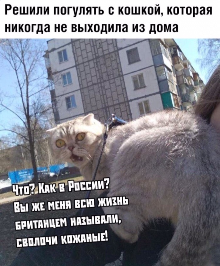 Прикольные картинки