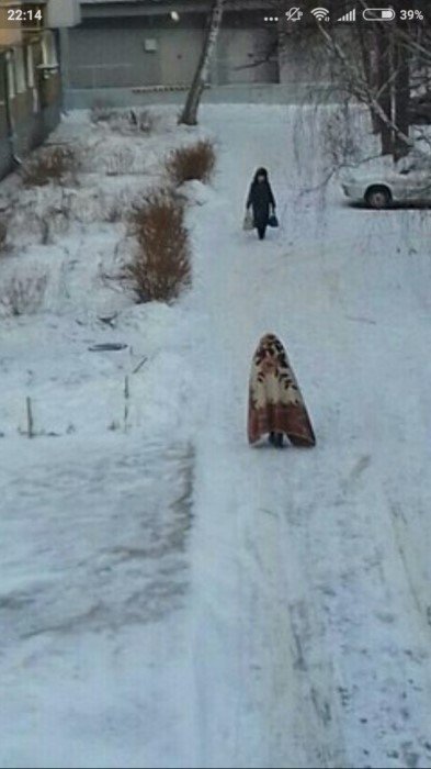 Смешные картинки с юмором на каждый день