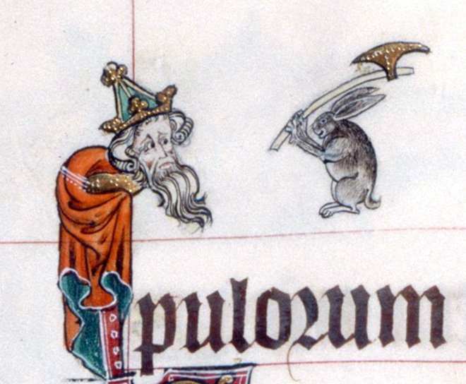 Смех до слез: беспощадные кролики на гравюрах Средневековья