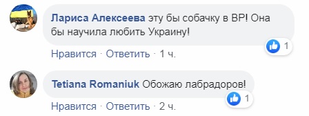 В Украине пес-патриот восхитил сеть: отвечает на &quot;Слава Украине&quot;