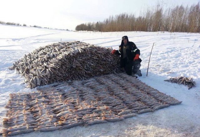 Веселые зимние приколы со всего мира