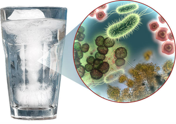 Бактерии в питьевой воде — как избавиться?