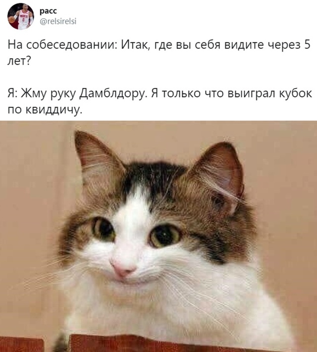 Улыбайтесь, господа, улыбайтесь! 