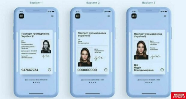 В сети показали, как будет выглядеть электронный паспорт гражданина Украины. ФОТО