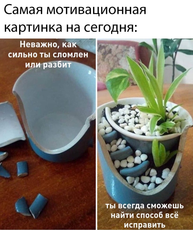 Улыбайтесь, господа, улыбайтесь! 