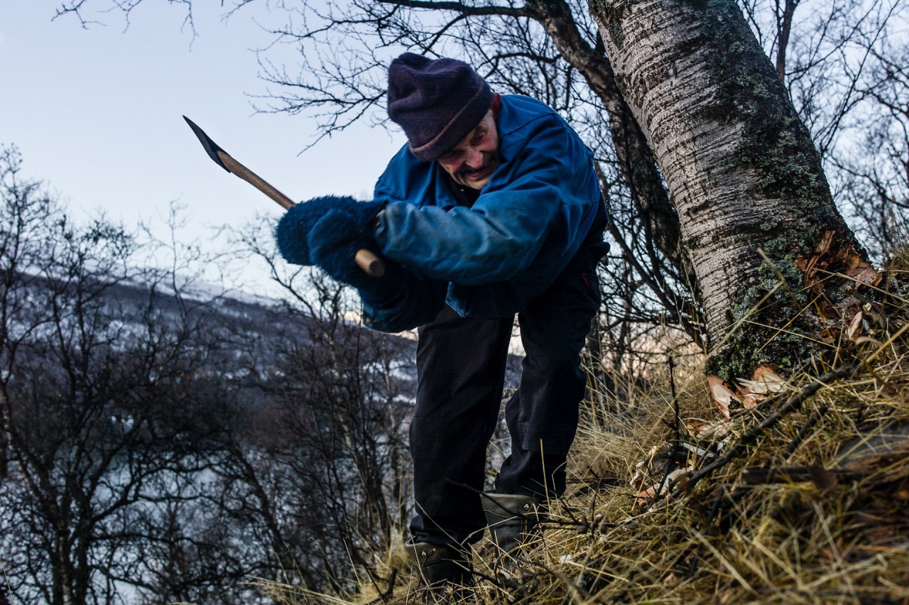 Уединённая жизнь норвежского фермера в фотопроекте Нильса Тьюна