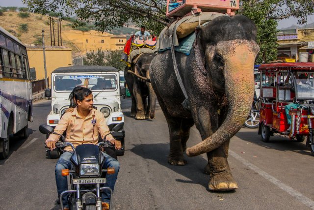Немного снимков дорожного движения в Индии