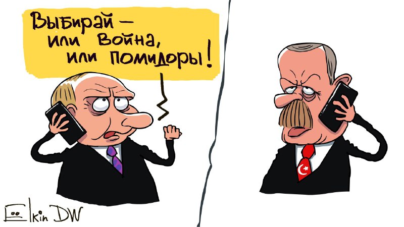 Столкновение Путина с Эрдоганом высмеяли карикатурой. ФОТО