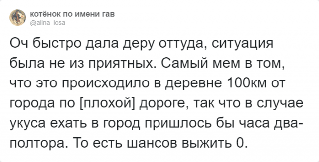 В Twitter пользователи рассказали о ситуациях, когда им повезло остаться в живых. ФОТО