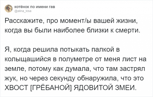 В Twitter пользователи рассказали о ситуациях, когда им повезло остаться в живых. ФОТО