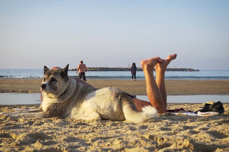 Греческий фотограф подкарауливает удачные моменты, делая снимки, в которых главный герой — совпадение. ФОТО