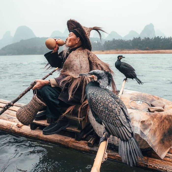 Традиционная китайская рыбалка с бакланами. ФОТО
