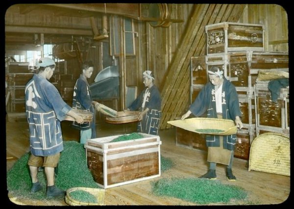 Производство чая в Японии в начале XX века