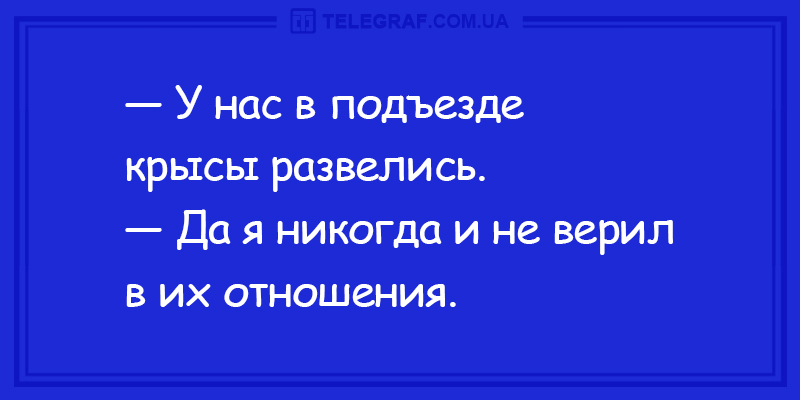 Настройтесь на веселье в этот день: забавные анекдоты. ФОТО