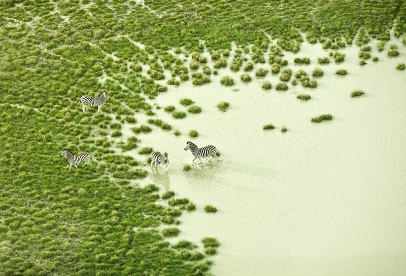 Первозданная красота Африки на удивительных аэрофотографиях. ФОТО