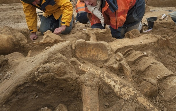 Японские ученые нашли скелет гадрозавра