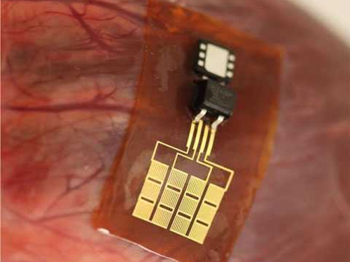 Учёные работают над превращением сердца и лёгких в зарядку для мобильника