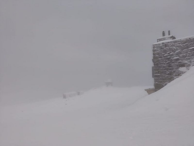Весна еще в пути: в Сети показали покрытые снегом Карпаты. ФОТО