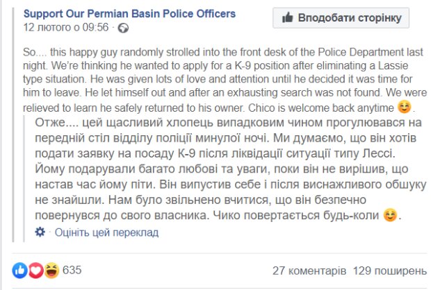 В Одессе собака пришла в полицию.Курьез