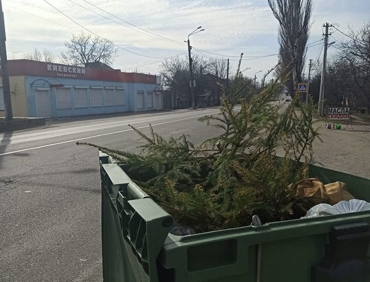 Сделал жене подарок на 8 марта: в Днепре новогоднюю елку выбросили в мусорный бак. ФОТО