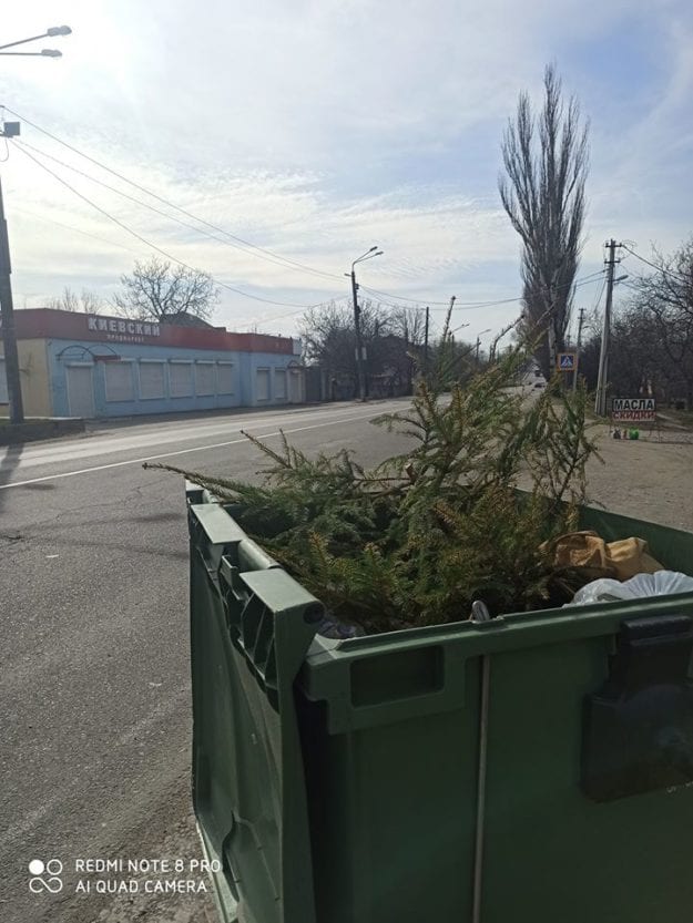 Сделал жене подарок на 8 марта: в Днепре новогоднюю елку выбросили в мусорный бак. ФОТО