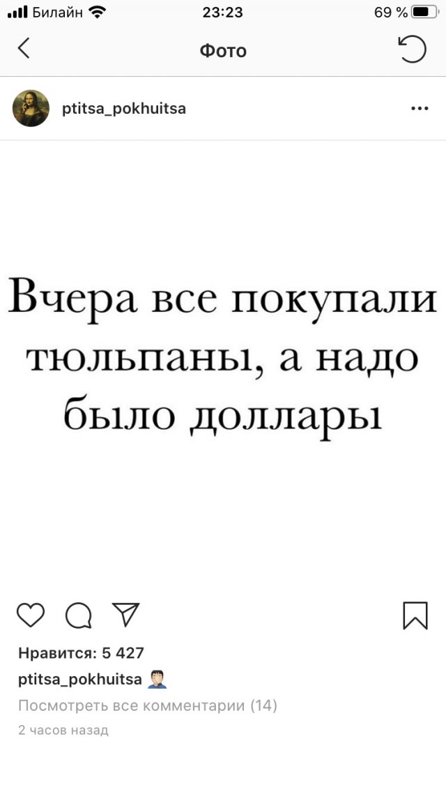 Купил тюльпаны, а надо было доллары: Сеть шутит про очередной обвал рубля. ФОТО