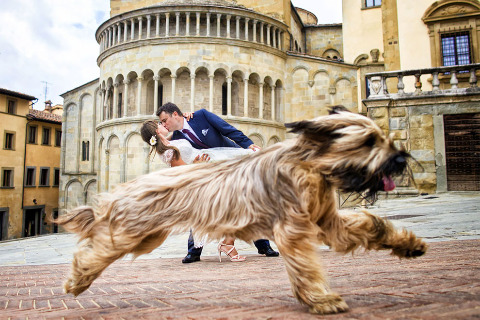 12 свадебных фотографий, которые испортила какая-то скотина. ФОТО