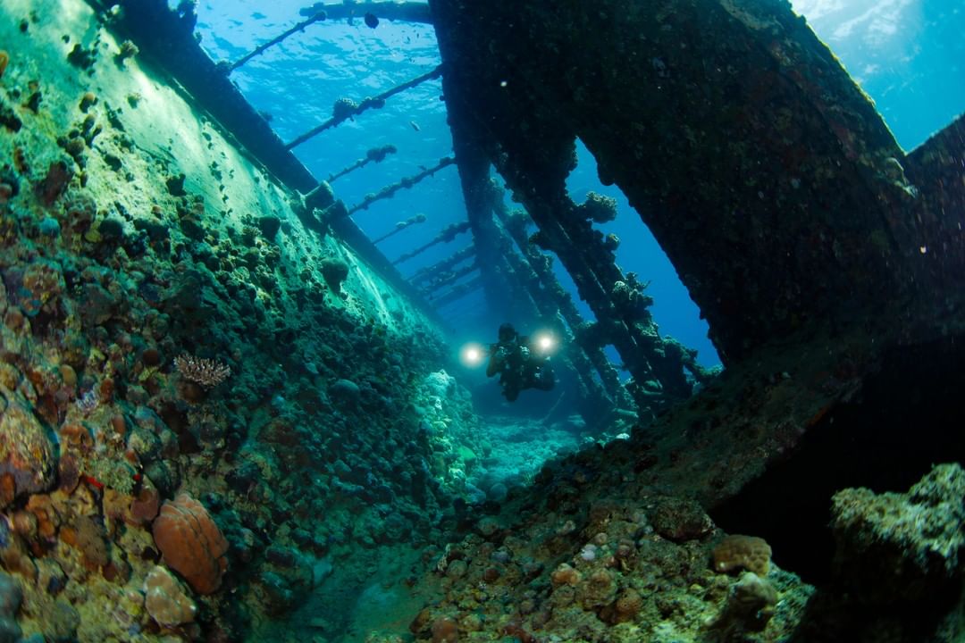 Замечательные подводные снимки от Нади Али