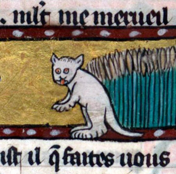 Средневековые художники совсем не умели рисовать котиков