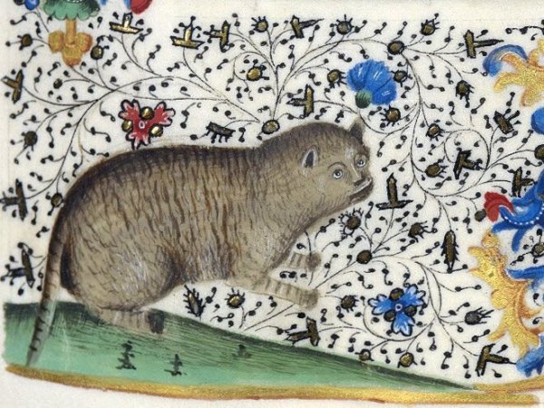 Средневековые художники совсем не умели рисовать котиков