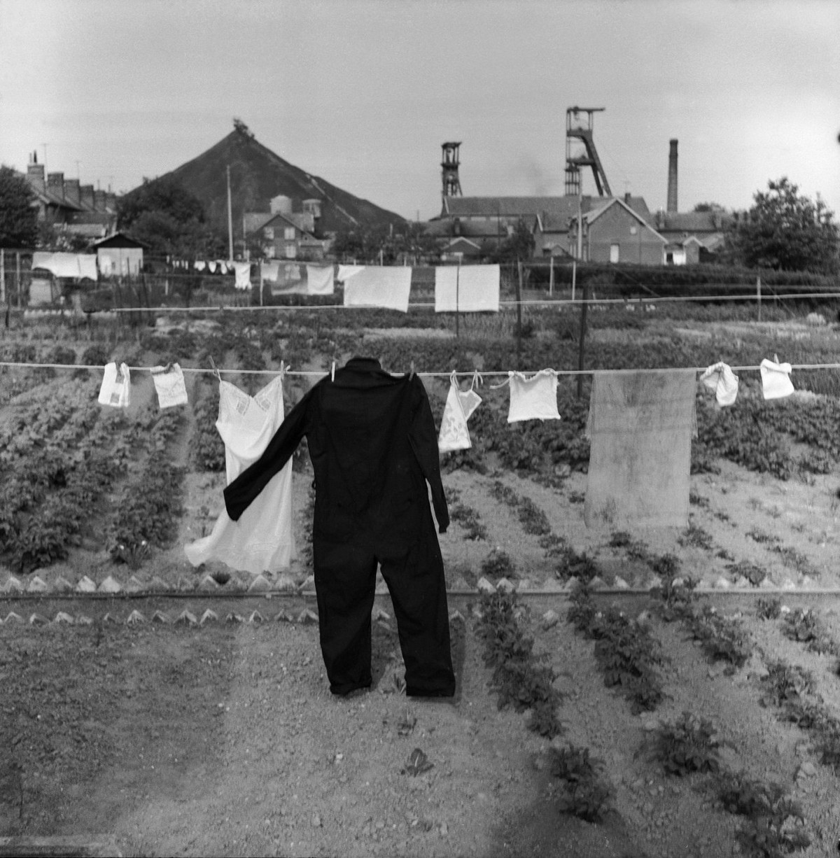 Юмористические чёрно-белые уличные снимки от Рене Мальтета