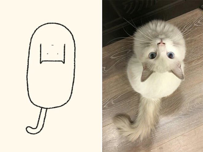 Когда художник от Бога, но не точно: забавные "точные" рисунки кошек