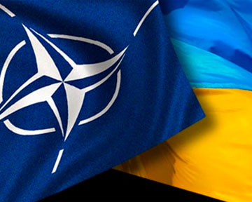  В НАТО призвали стороны конфликта в Украине к мирному диалогу 