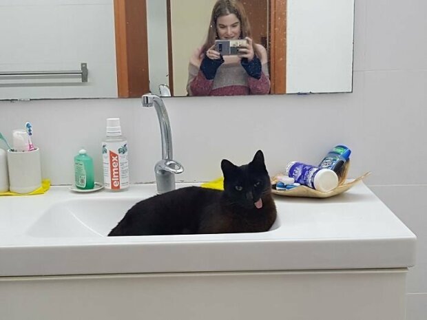 В Сети опубликовали фото кота с забавной мордочкой. ФОТО