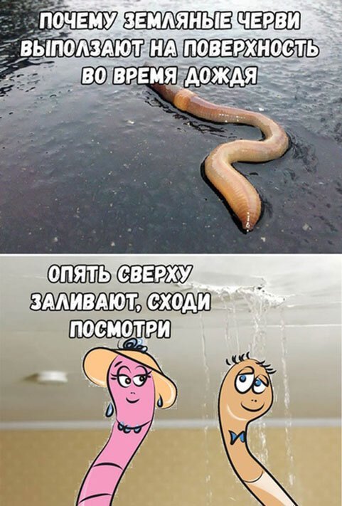 Забавные скрины из социальных сетей. ФОТО